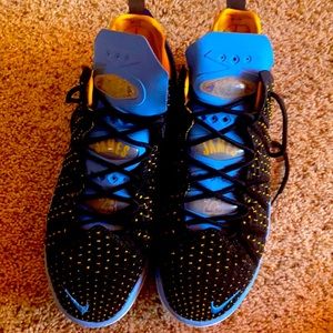 Size 10.5 Lebrun James basketball shoe. Brand new